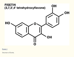 fisetin molecule